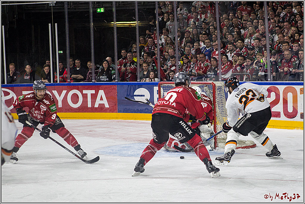 DEL, Koelner Haie - Grizzlys Wolfsburg, 12.03.2017